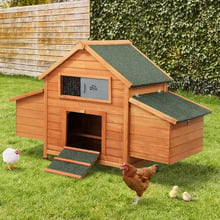 Elachi Chicken Coop & Rabbit Hutch